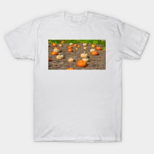 Pumpkin patch view T-Shirt